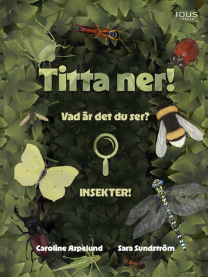 cover image of Titta ner!